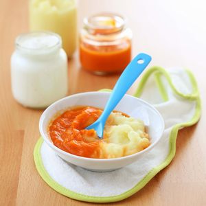 baby-food-course-2