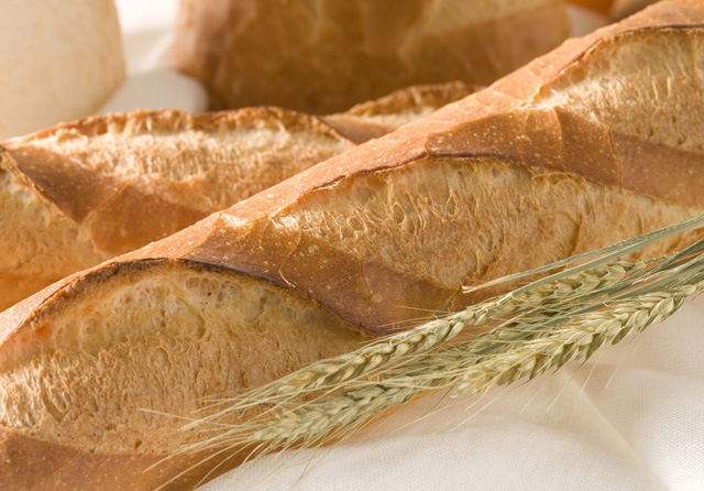 basic-knowledge-and-pan-glossary-of-bread-2