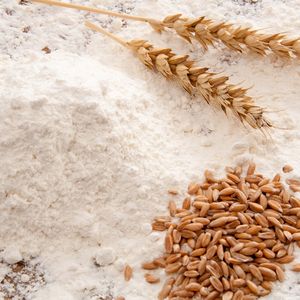 difference-of-germ-whole-grains-wheat-bran-2